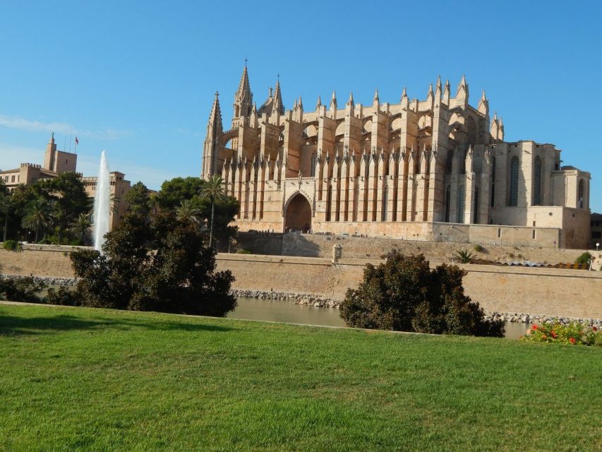 Palma: Old Town Walking Tour & Cathedral Skip-the-Line - The Local Welcome: Ensaïmada as a Small but Smart Touch