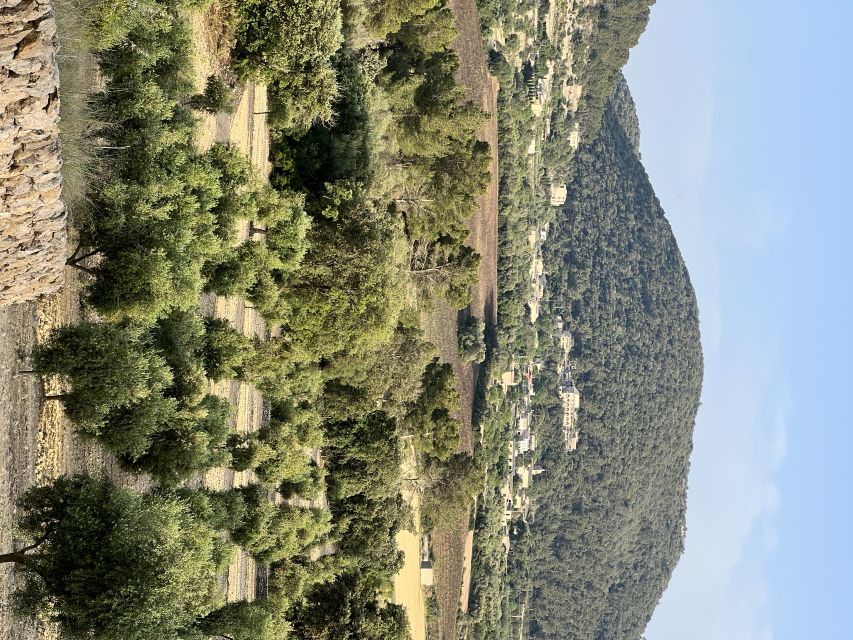 Palma: Orange Farm, Olive Mill, & Winery Tour with Tastings - Stop 1 and the Tramuntana transfer: setting up your food day