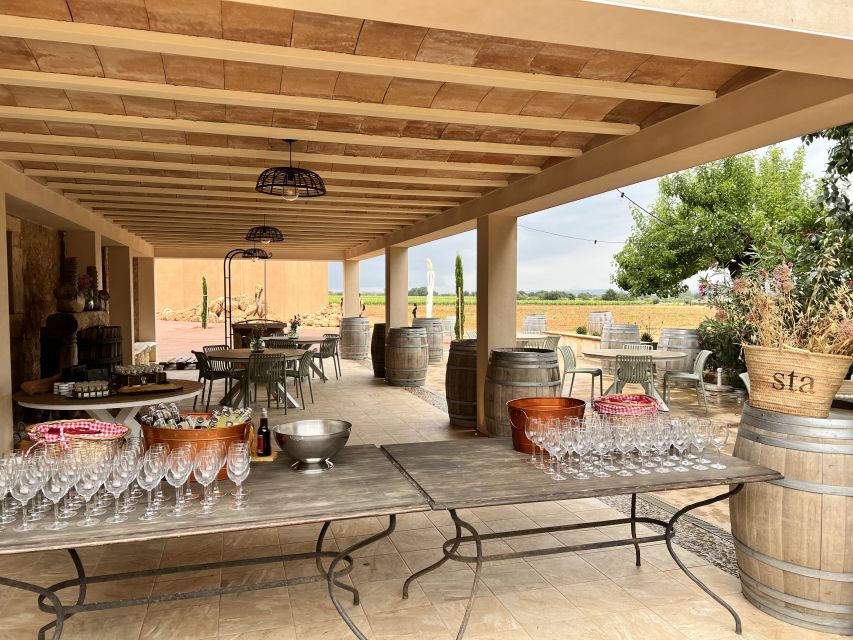 Palma: Orange Farm, Olive Mill, & Winery Tour with Tastings - The day’s rhythm: van transfers, time at each stop, and how not to feel rushed