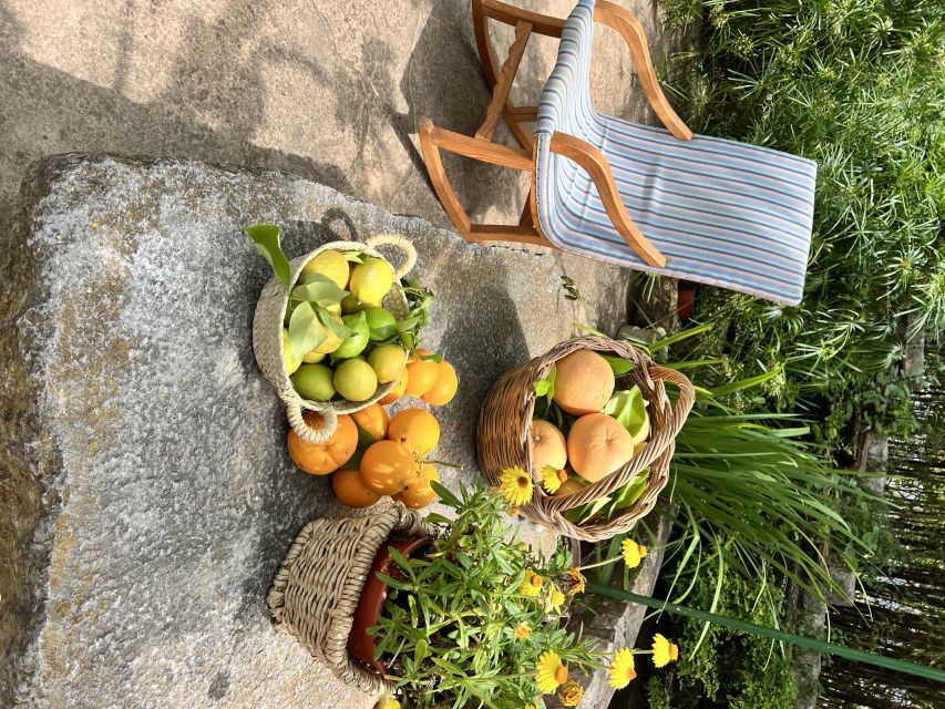 Palma: Orange Farm, Olive Mill, & Winery Tour with Tastings - Pickup, van rides, and the small-group feel (up to 8 people)