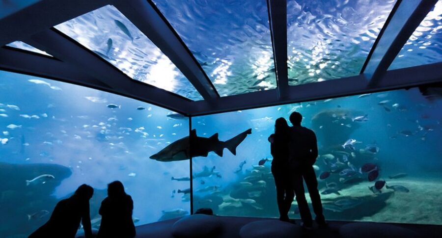 Palma: Palma Aquarium Ticket with Transfer Service - Daily feedings plus hands-on moments for kids