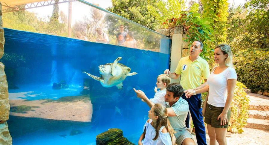 Palma: Palma Aquarium Ticket with Transfer Service - Skip-the-line entry, 3D cinema, and Shark Vision add-ons