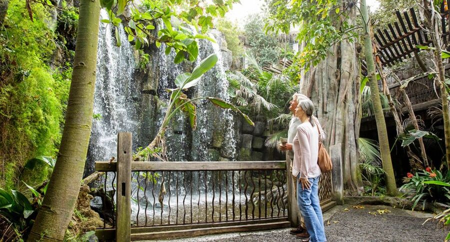 Palma: Palma Aquarium Ticket with Transfer Service - Who should book this transfer ticket, and who should skip it