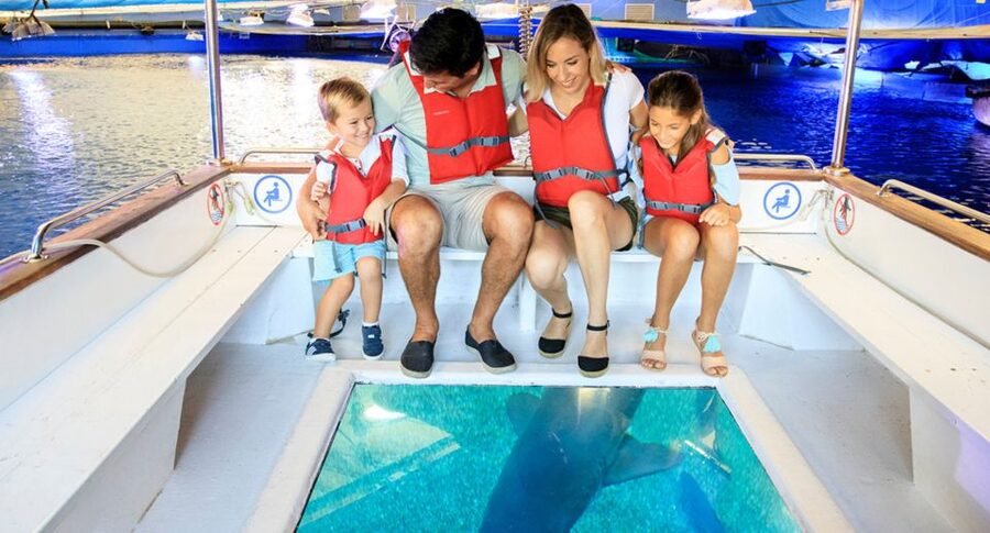 Palma: Palma Aquarium Ticket with Transfer Service - Pick-up around Mallorca: how the transfer actually helps