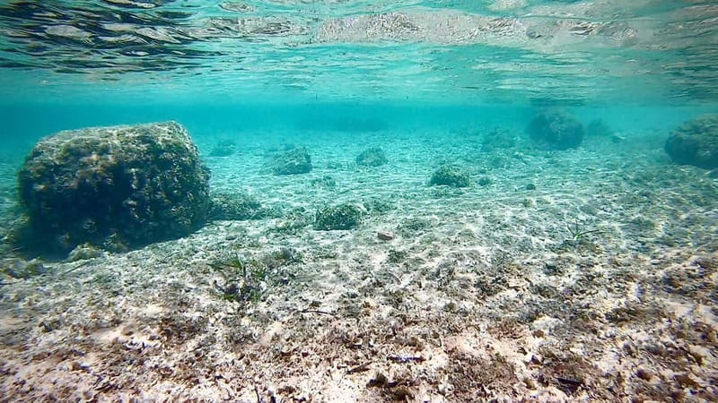 Palma: Private Boat Tour in Mallorca with Snorkel and Paddle - Aperitif, cold drinks, and the optional picnic-style meal