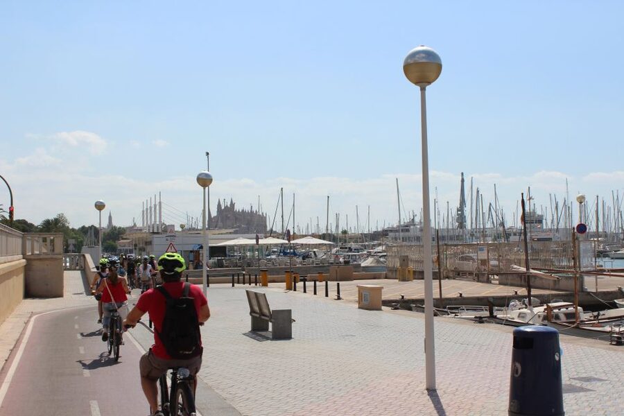 Palma Shore Excursion Bike Tour (Transfer Included) - The 1-Hour Break at Plaça del Rosari, and How to Use It Well