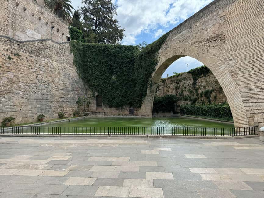 Palma Shore Excursion Bike Tour (Transfer Included) - From the Cruise Port to Old Town Palma, Without Guesswork