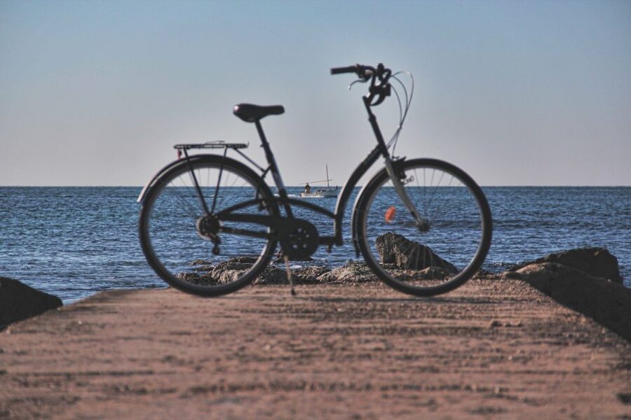 Palma Shore Excursion Bike Tour (Transfer Included) - Lonja de Mallorca and Those Helical Columns