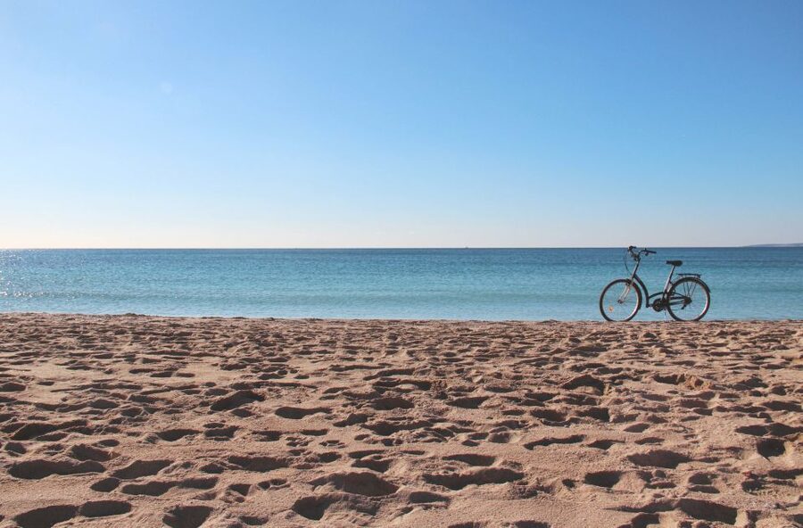Palma Shore Excursion Bike Tour (Transfer Included) - Església de Santa Eulalia and Palma Cathedral: Two Stops You Will Remember
