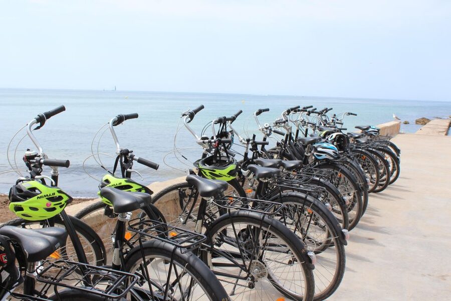 Palma Shore Excursion Bike Tour (Transfer Included) - Almudaina Royal Palace, Palma City Hall, and City Walls on the Ride