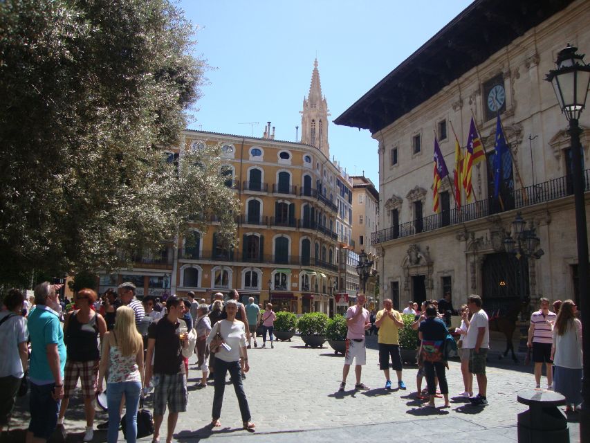 Palma Tour with Wine and Tapas Tasting - Small planning tips so you enjoy every stop