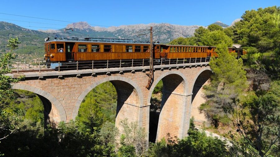 Palma: Tramuntana Full-Day Tour with Sóller Train and Lunch - The Tramuntana Minibus Ride: Son Bleda Pass Views and Motion-Sickness Reality