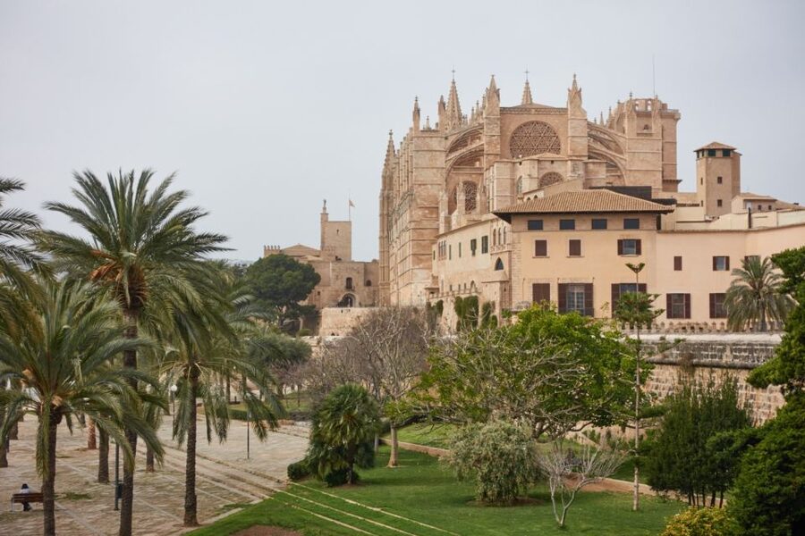 Palma: Walking Tour with Mediterranean Delicacies - Upper city essentials: town hall, parliament, Almudaina Palace