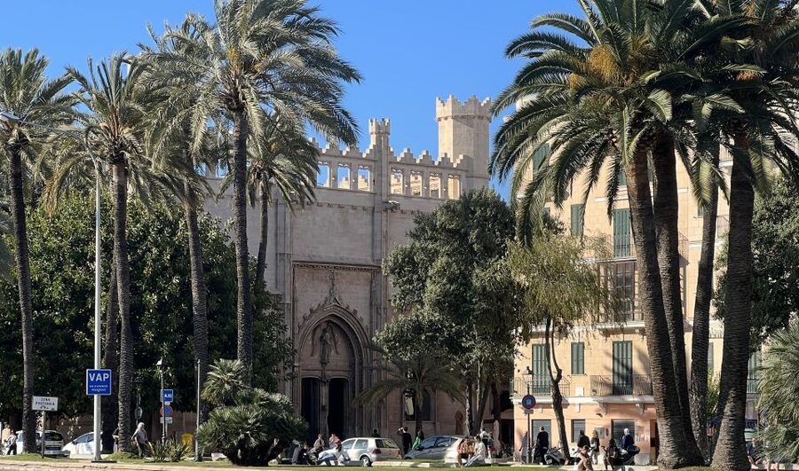 Palmas sightseeing highlights in a private and exclusive way - Lively squares and the art of slowing down in the right places