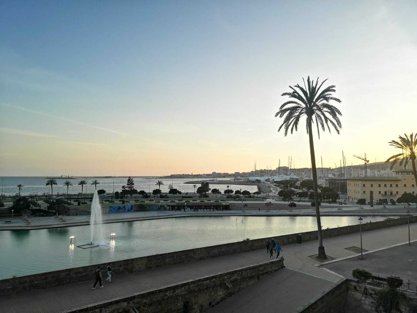 Palmas sightseeing highlights in a private and exclusive way - Price and value: $347 per group for up to 6