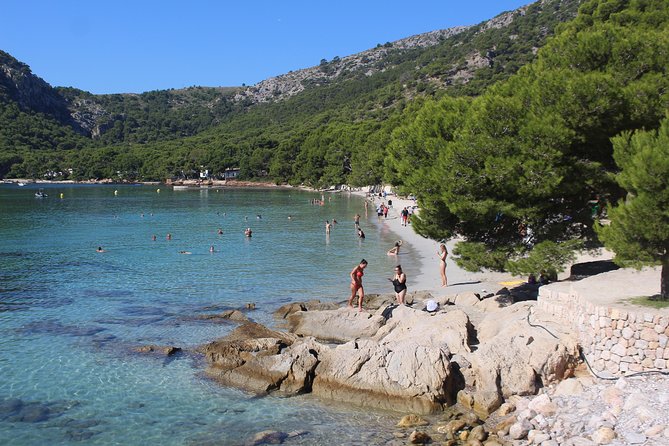 Panoramic Mallorca Boat Trip to Formentor Beach - Crowds and comfort: what to expect on a popular half-day cruise