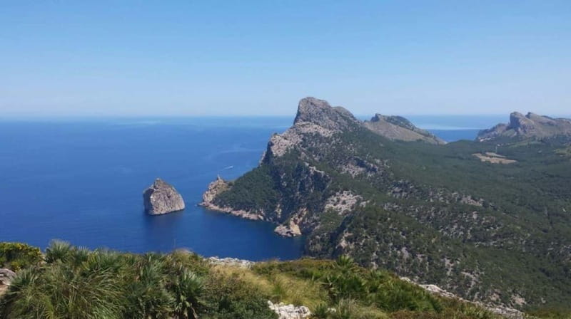 Peguera: Half Day Slingshot Tour - Palma and the Paseo Maritimo: your first taste of big-Mallorca views