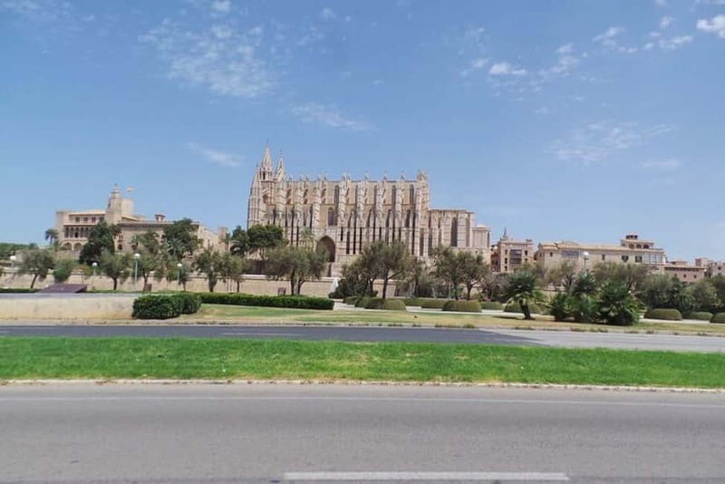 Peguera: Trike Tour - Key things that make this trike tour worth your time