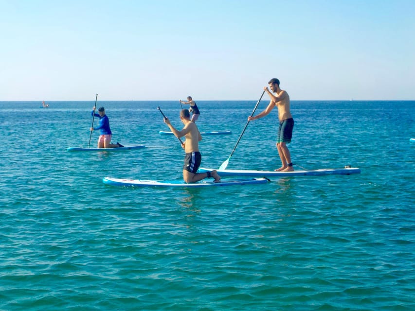 Playa Palma: Stand-up Paddleboard Rental - Included Drink: A Small Bonus After You Get Your Legs
