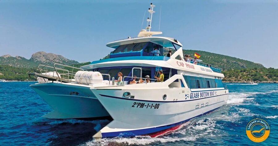 Pollença: Dolphin Watching Boat Excursion - Breakfast on the return: coffee, tea, pastries, and orange juice