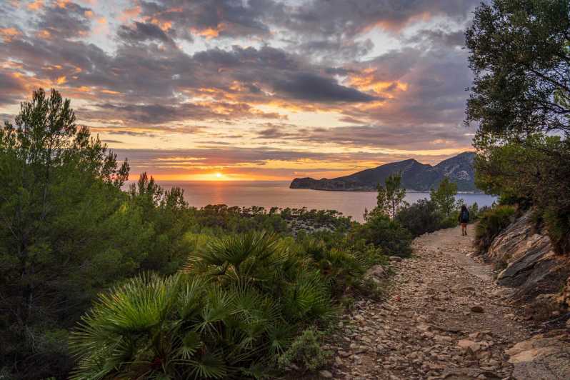 Port Andratx: Guided hiking tour into the sunset to Sant Elm - Key highlights to look forward to
