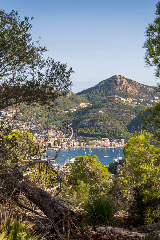 Port Andratx: Guided hiking tour into the sunset to Sant Elm - What to pack, and what to wear so the hike feels easy