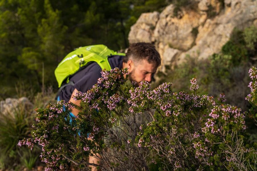Port Andratx: Guided hiking tour into the sunset to Sant Elm - The descent to Sant Elm in twilight, then taxi back