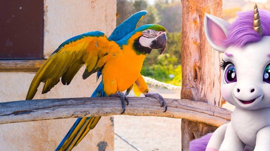 Port d'Alcudia: Meet the Magical Creatures,family game &walk - Price and value: $14 per group, private format, and what you get