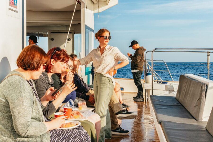 Port d'Alcudia: Sunrise at Sea & Dolphin Watching Boat Tour - Key Takeaways Before You Go