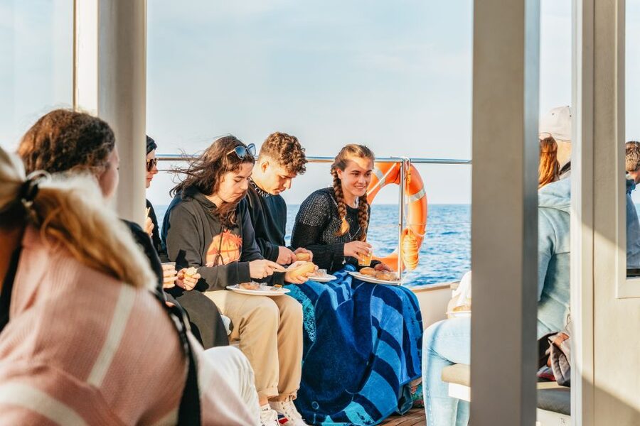 Port d'Alcudia: Sunrise at Sea & Dolphin Watching Boat Tour - Weather, Cold Wind, and Seasickness: Your Packing List