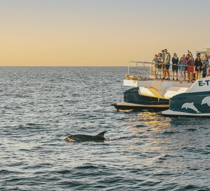 Port d'Alcudia: Sunrise at Sea & Dolphin Watching Boat Tour - The Outbound Cruise: Stars, Wind, and Why Early Hours Matter