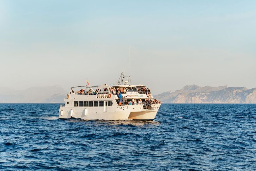 Port d'Alcudia: Sunrise at Sea & Dolphin Watching Boat Tour - Where You Meet, and How to Avoid Start-Time Chaos