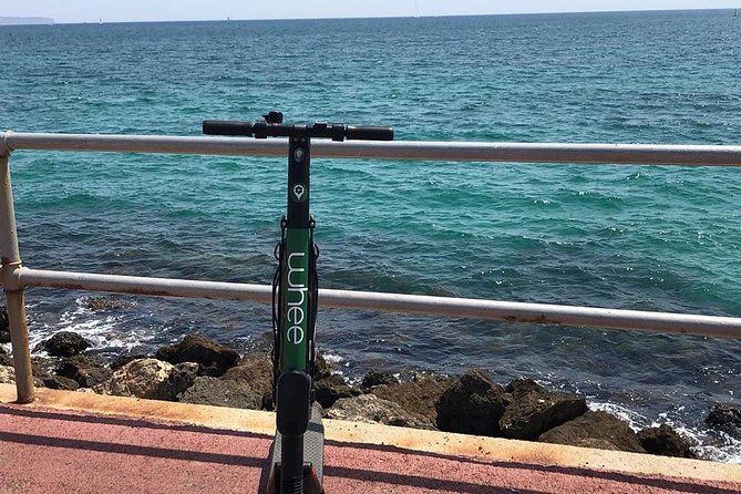 Premium electric Scooter rental with optional delivery - Safety and constraints that affect your plan: weight limit and good weather