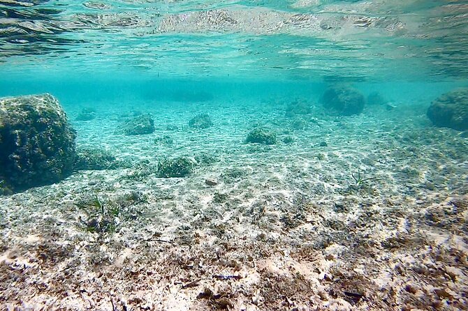 Private Boat Tour from Palma with Snorkeling and Paddle Surfing - Paddle surf on Mallorca water, with gear included