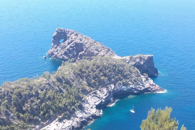 Private tour for my family from a cruise - Key highlights to know before you go