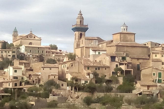 Private tour for my family from a cruise - Why this Palma private tour works so well for cruise families