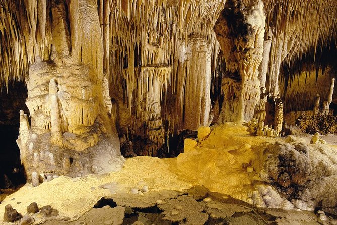 Private Tour: Mallorca Caves of Drach and Majorica Pearl Factory - The Lake Martel concert: a short waiting game for a very unusual setting