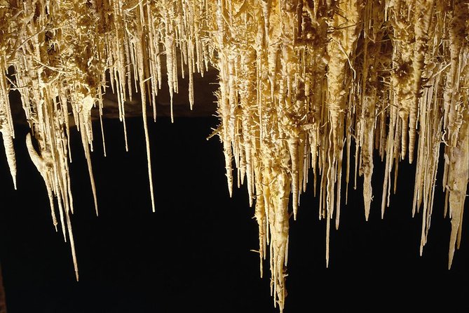 Private Tour: Mallorca Caves of Drach and Majorica Pearl Factory - Porto Cristo and the coastline breaks: where your guide can save the day