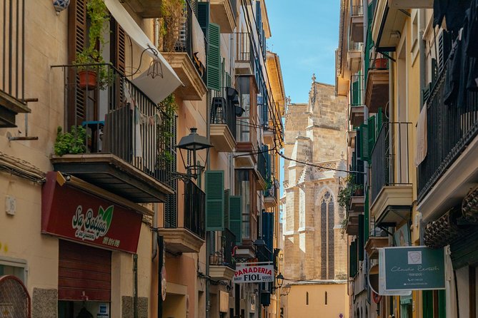 PRIVATE TOUR of Palma de Mallorca: Highlights & Hidden Gems - Getting Your Bearings in Palma, Without the Crowd Chaos
