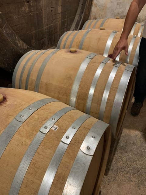 Private tour: Wine and tapas, experience real Mallorca - Key Moments That Make This Tour Worth It