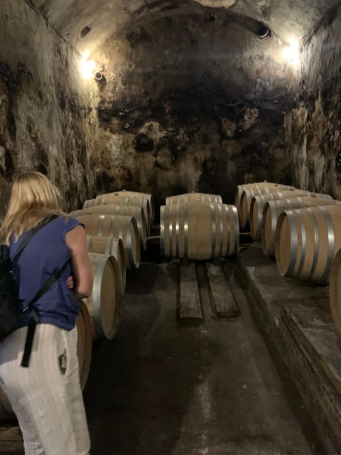 Private tour: Wine and tapas, experience real Mallorca - Timing and Pace: 3 Hours Means You Must Stay Present