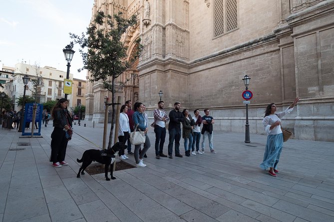Private walking tour in Palma de Mallorca with local guides. - Palau de lAlmudaina: quick royal context, no wasted minutes