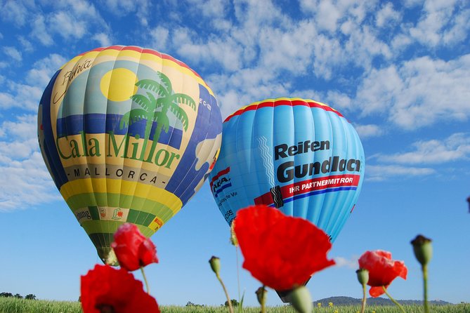 Romantic Sunrise Balloon Tour in Majorca - Should you book this romantic sunrise balloon in Majorca?