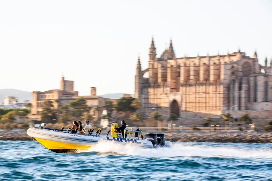 S'Arenal: Boat trip to Illetas with views of Palma - Key things to know before you go