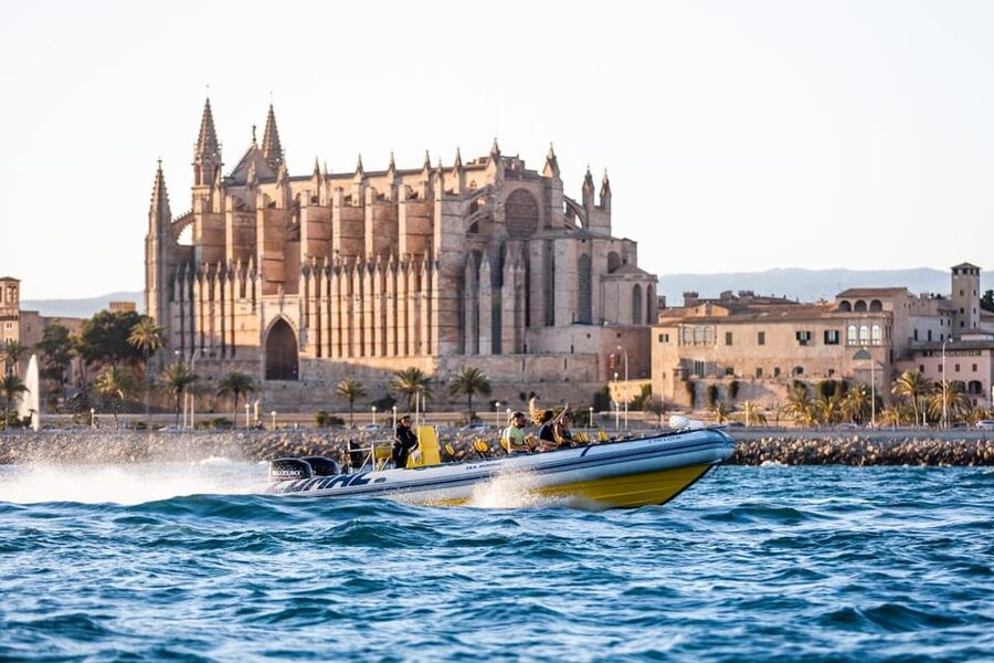 S'Arenal: Boat trip to Illetas with views of Palma - Cala Illetas swimming and snorkeling: the main event