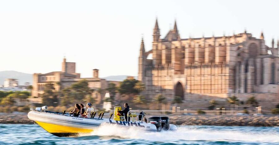 S'Arenal: Boat trip to Illetas with views of Palma - The onboard bar: drinks, rules, and what to plan