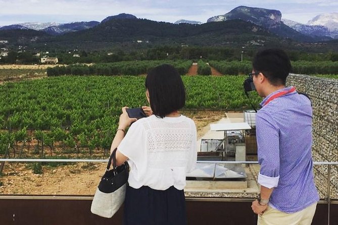Sa Clasta Mallorca Wine Tours - Hotel pickup around Mallorca: what the 9:00 am start means