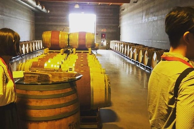 Sa Clasta Mallorca Wine Tours - Should you book Sa Clasta? Best fit and final checks