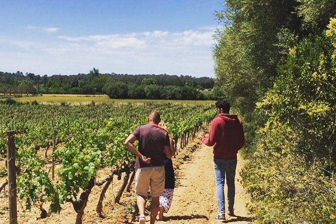 Sa Clasta Mallorca Wine Tours - Two winery stops: why this Mallorca wine tour tastes different