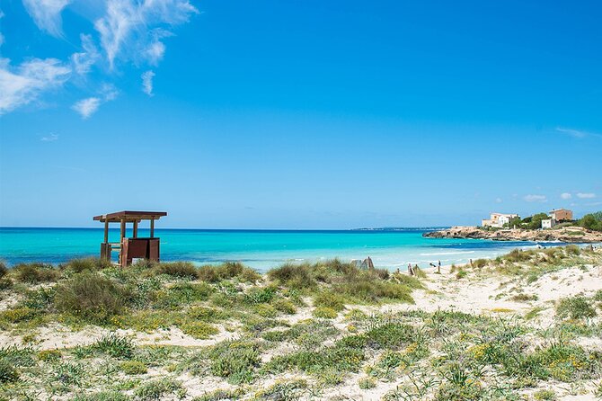 Salobrar Natural Park - Es Trenc Beach - Es Trenc Beach time: sand, sea, and the posidonia tip